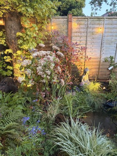 Garden Lighting